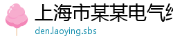 上海市某某电气维修站